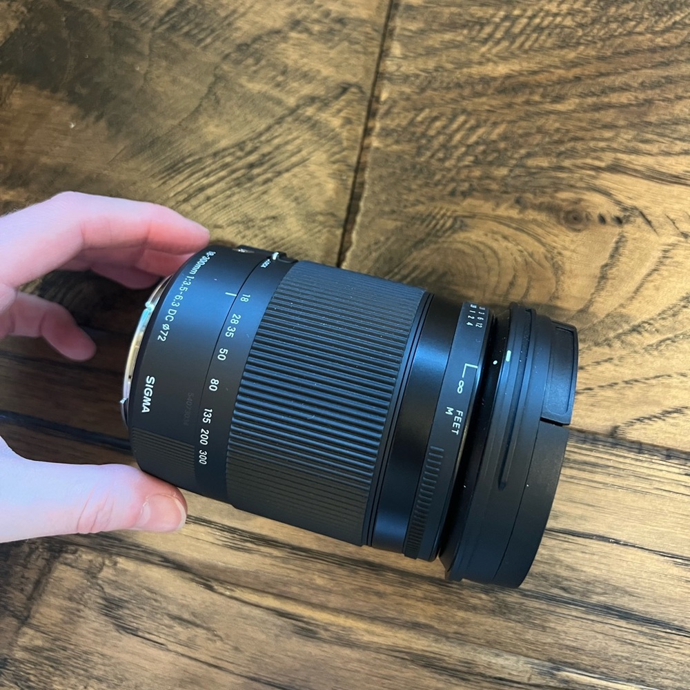 Canon 18-300mm Lens - Picture 3 of 10